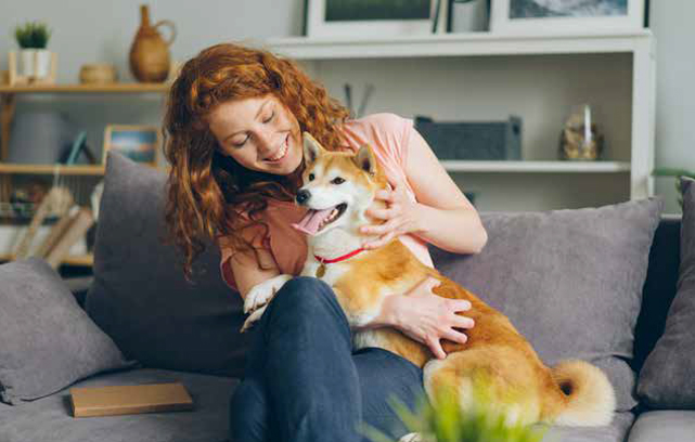 Insurance image