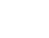 The Lynn Palmer Group logo